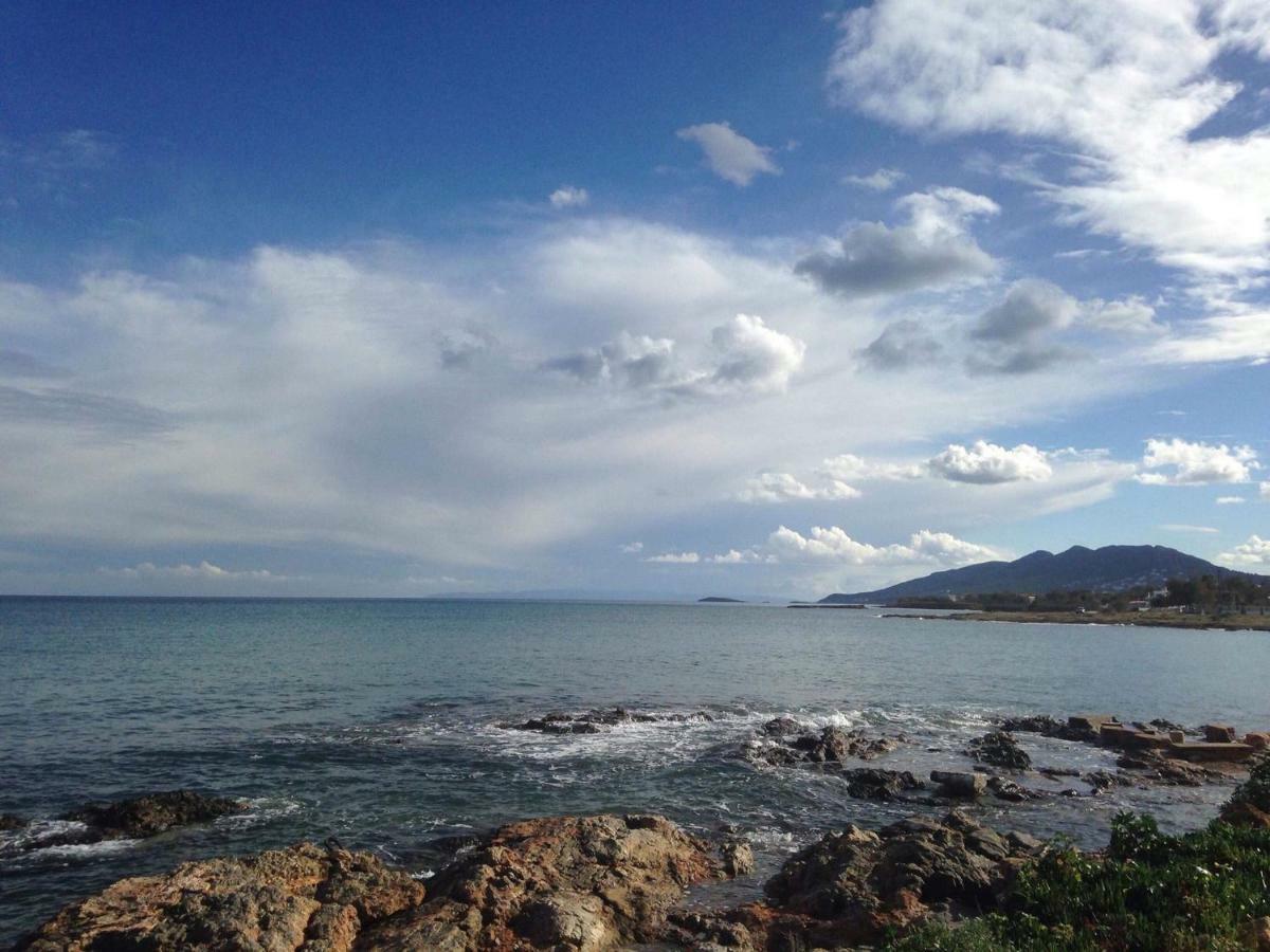 Yoga Euphoria Seaside Apartment Αρτέμιδα Εξωτερικό φωτογραφία